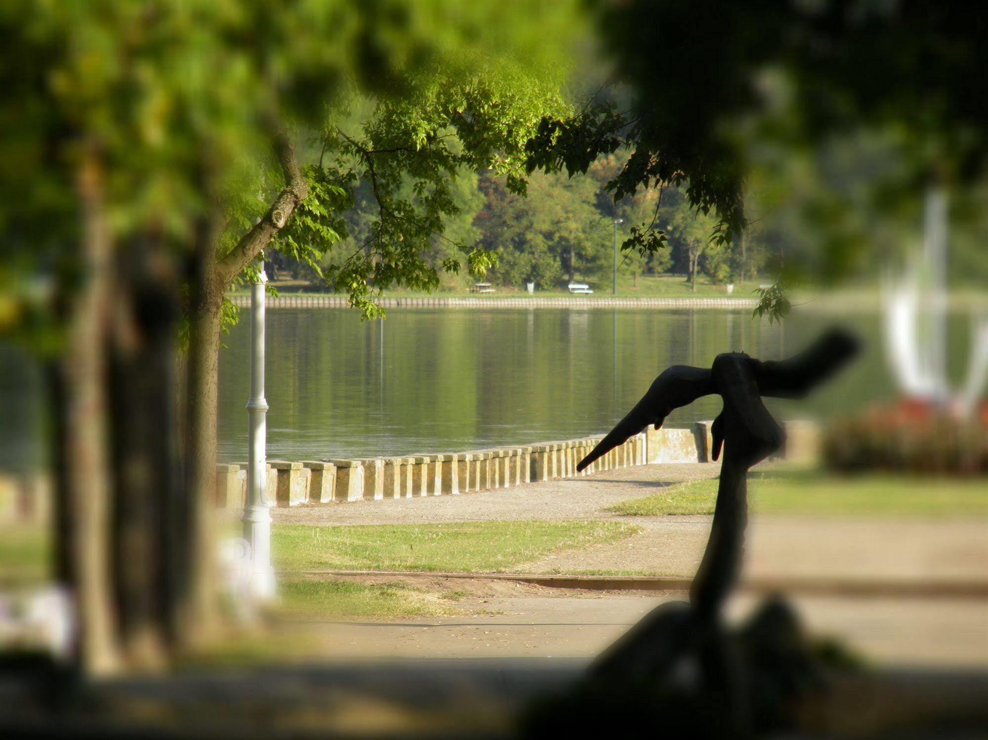 Garni Hotel Park Palić Exteriér fotografie